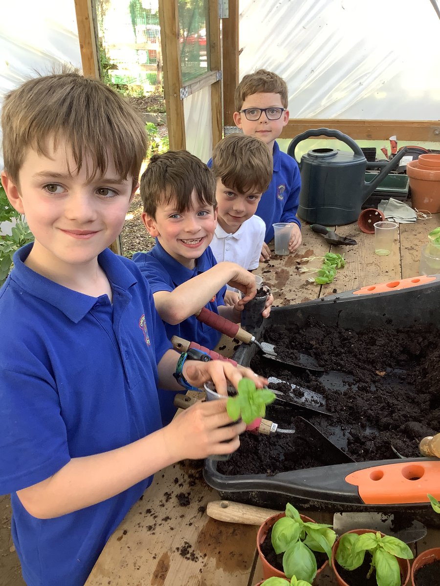 Mr Owen's gardening club have been very busy in the polytunnel! #greenfingers #gardening   @Symphony_LT