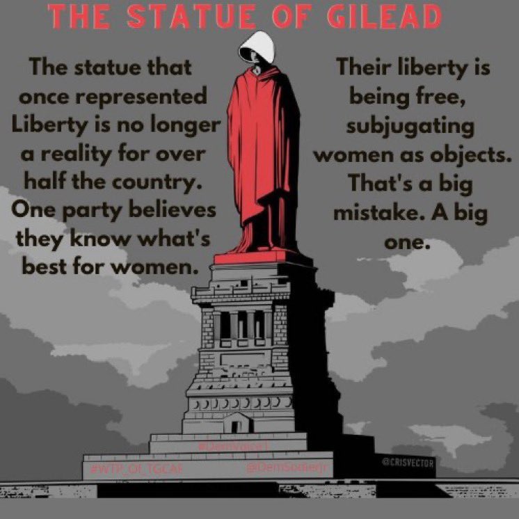 1- 🧵Never forget June 24, 2022‼️ On that day women lost one of their most basic rights as Americans: the right to control their own bodies. Conservative Supreme Court justices are dragging this country back 50 years. #DemVoice1 #ProudBlue