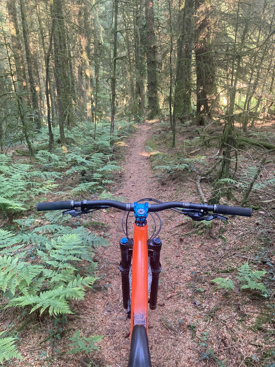 After work xc power hour… round the local…..☀️☀️🌳🌳💙💙✌️….
#Absoulatemtb1 #TotalMTB #mtblifestyle #hardtail💙 #lovewherelive #walesneverfails