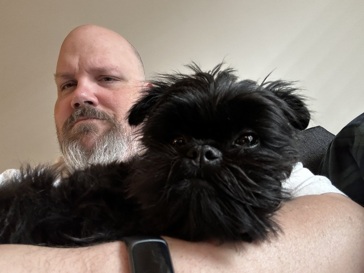 andrewgreene's tweet photo. Not feeling well today. Simon has decided that in order for me to feel better, he’s got to lay and sleep on me. https://t.co/Y4vuLJmN1L
