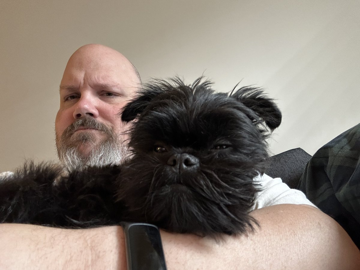 andrewgreene's tweet photo. Not feeling well today. Simon has decided that in order for me to feel better, he’s got to lay and sleep on me. https://t.co/Y4vuLJmN1L
