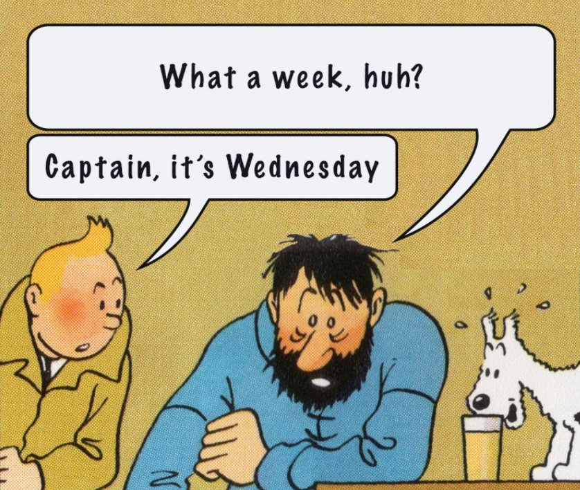 What a week, huh? all Wednesdays (@whataweekhuh) on Twitter photo 