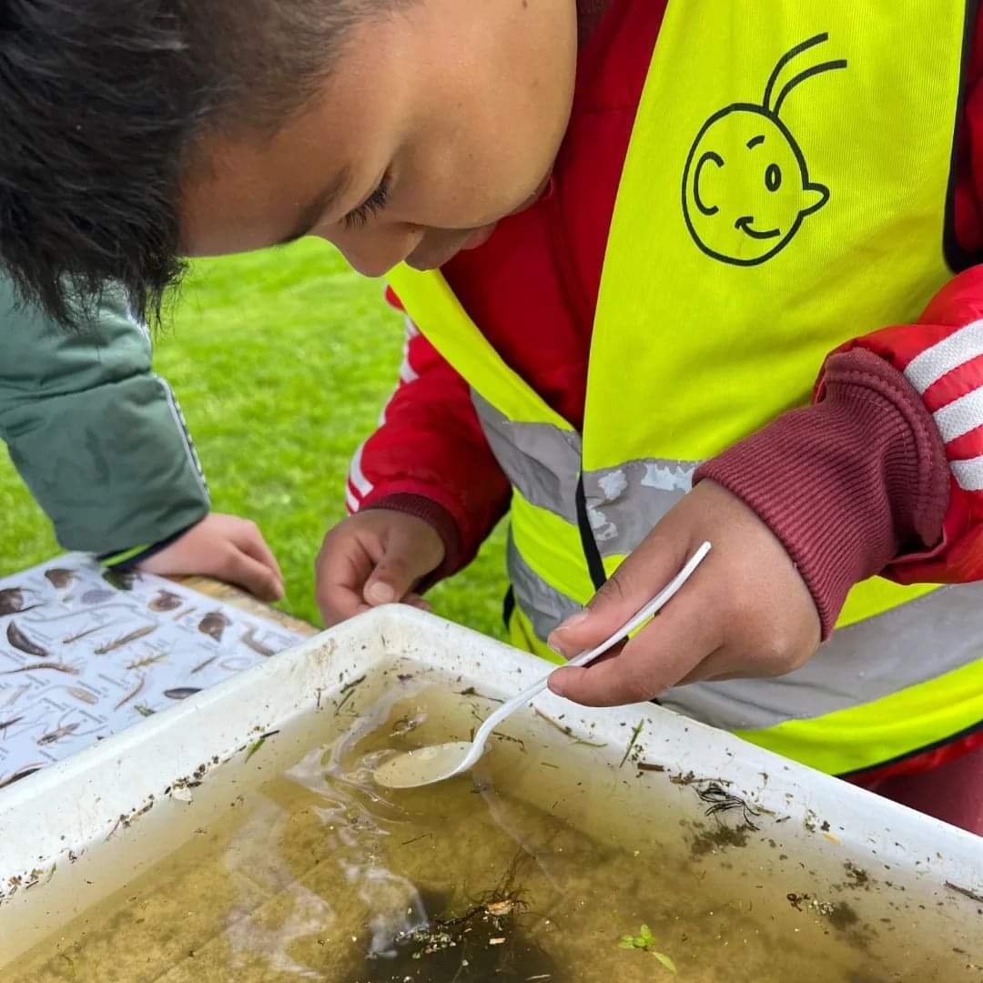 Hoe gaaf is het als je kinderen zélf kan laten ontdekken. En dat allemaal onder begeleiding van top pedagogisch professionals van <a href="/KomKids/">KomKids Kinderopvang</a> en Stichting Milieu Dichterbij!
💚🪳🐛 

#beleven #ervaren #onderzoeken