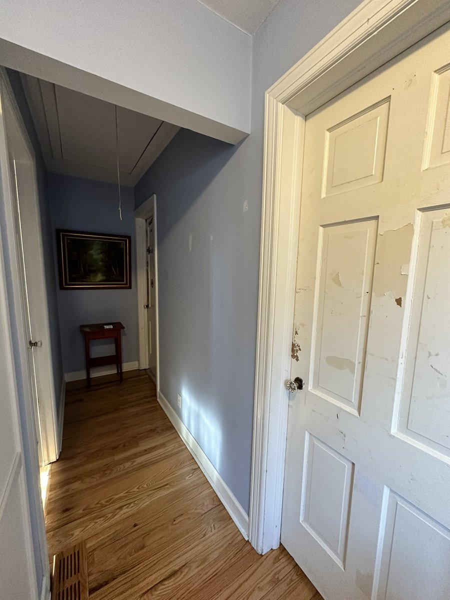 Meredith Stepien ᵇˡᵐ tweet media