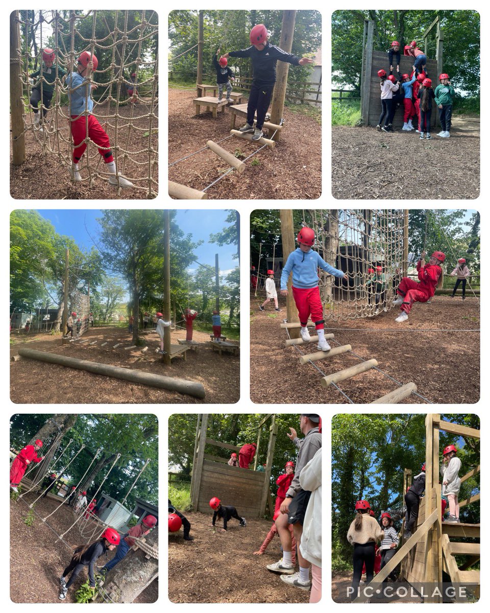 Rhigos Primary tweet media