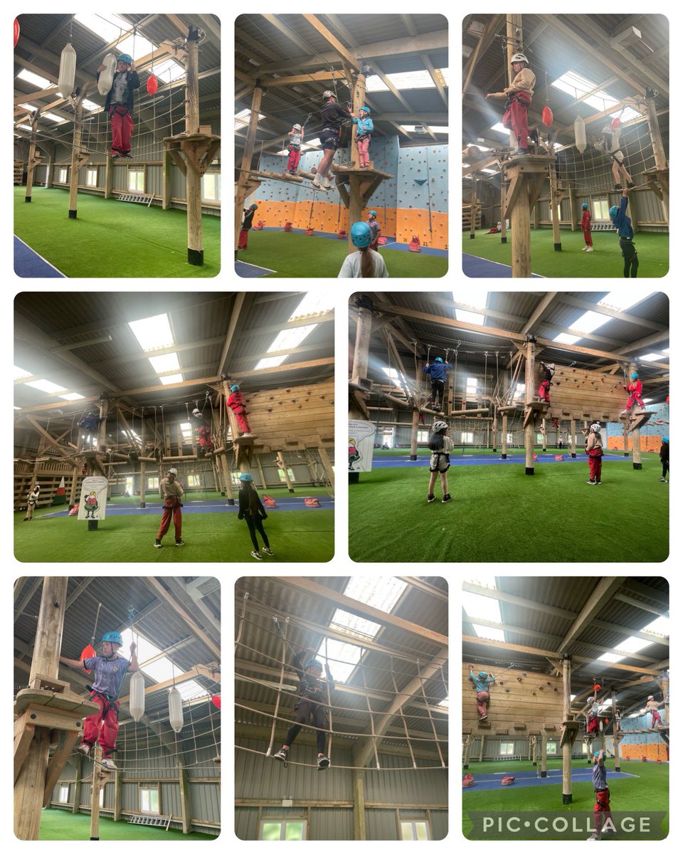 Rhigos Primary tweet media