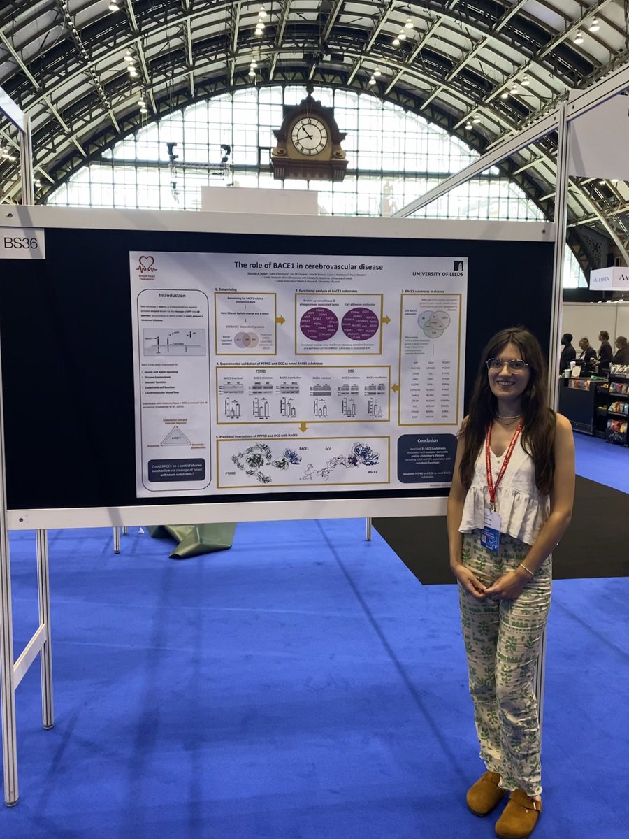 hannahataylor_'s tweet photo. A great couple of days in Manchester at the #BCS2023 conference! So many great talks, and really enjoyed discussing my #BACE1 in #cerebrovasculardisease research with so many people. Thanks @BritishCardioSo @britathsoc @TheBHF https://t.co/HXMESt6N9p