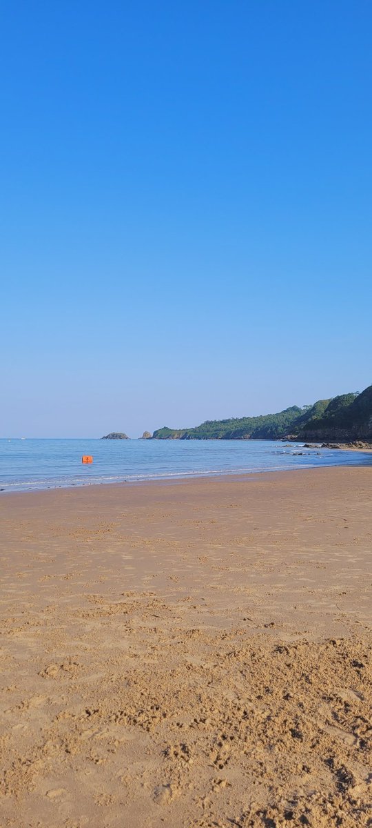jacquihill18's tweet photo. Saundersfoot this evening โค๏ธ๐ด๓ ง๓ ข๓ ท๓ ฌ๓ ณ๓ ฟ taken 19.30 hrs , so hot here ๐ @MarkPerks2021 @wynneevans @ItsYourWales @VisitPembs @SaundersfootCFT #welshcollie #welshpassion https://t.co/opiAGZd4Mg