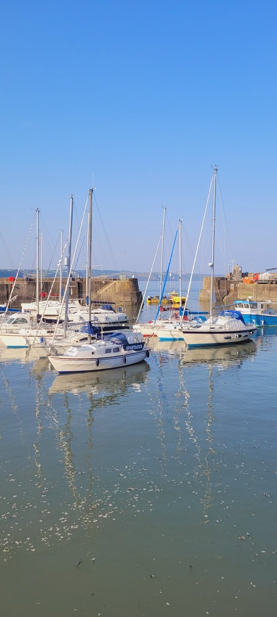 jacquihill18's tweet photo. Saundersfoot this evening โค๏ธ๐ด๓ ง๓ ข๓ ท๓ ฌ๓ ณ๓ ฟ taken 19.30 hrs , so hot here ๐ @MarkPerks2021 @wynneevans @ItsYourWales @VisitPembs @SaundersfootCFT #welshcollie #welshpassion https://t.co/opiAGZd4Mg