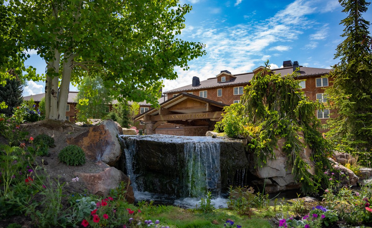 sunvalley's tweet image. Springtime at the Sun Valley Lodge 🌿🐥🌸

#latespring
#babyducks
#sunvalleystoke