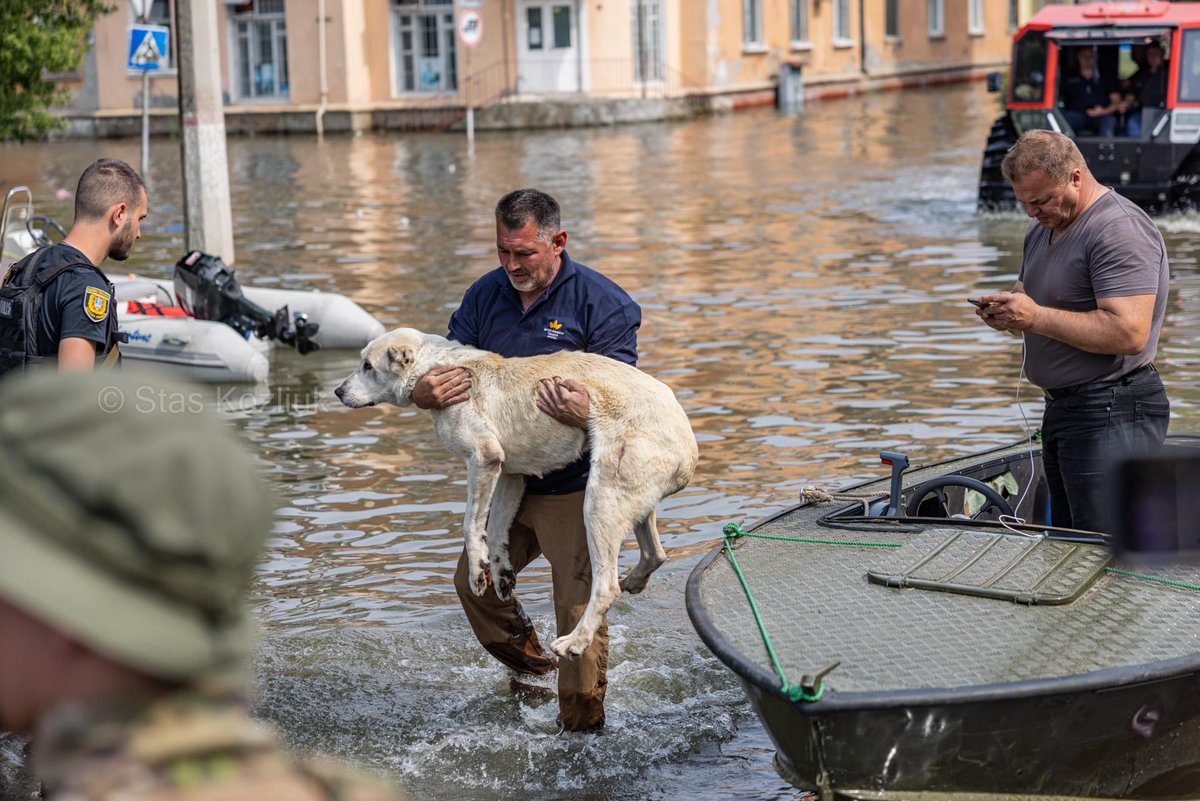 #Херсон зараз... Вода продовжує прибувати. Люди рятують сусідів, тварин і дітей від стихії. Рятувальні служби та місцеві мешканці, що мали гумові човни, організовуються в групи і забирають сусідів із затоплених сіл. Росіяни навіть не намагаються організувати евакуацію з