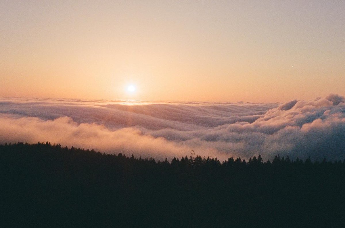 the first photos on my Leica M6 🎞️