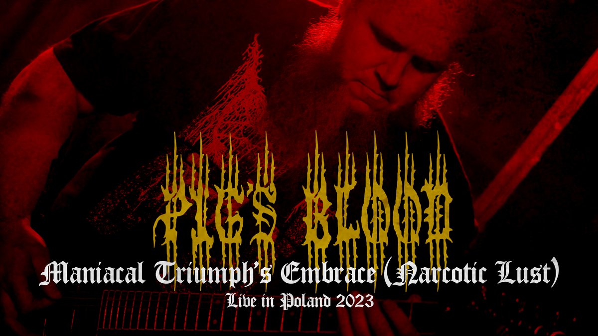 GodzOvWar's tweet photo. Another PIG'S BLOOD live track on Soundterror youtube channel!
Watch: https://t.co/ogeanjzFYZ
#pigs_blood #livetrack #europeantour #soundterror #godzovwarproductions https://t.co/DlM2V7u3R4
