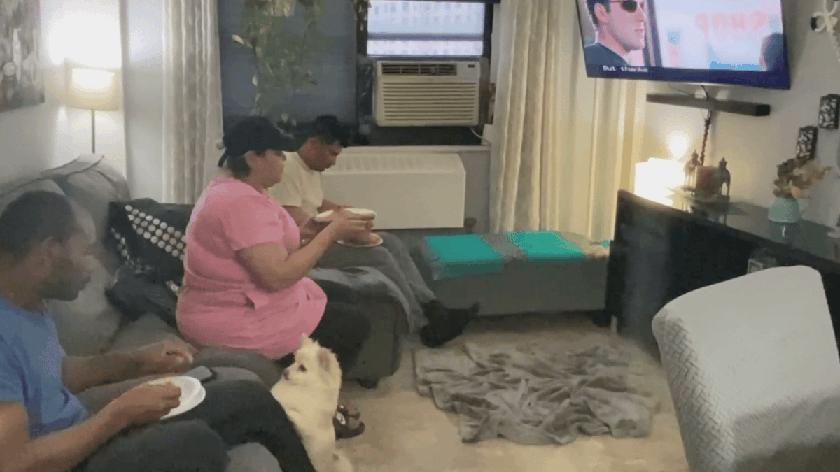 remolacha.net tweet media