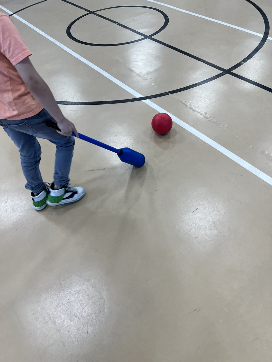 WEDFwps's tweet photo. Michele Petty from #wps school Roosevelt recently received a well-deserved mini-grant from #WEDF for her project, "Getting Moving in PE!" Michele purchased soft gator balls for floor hockey lessons and jump ropes and racks! We couldn't be prouder to see our grant money at work! https://t.co/qR1NDI4PNO