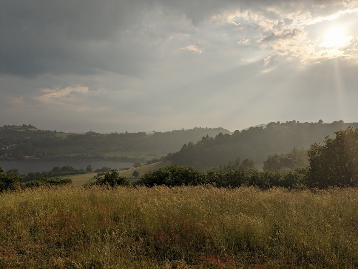 MarcelB71's tweet photo. Kleine Hunderunde am Maar nach dem Durchzug eines kleinen Gewitterchens 😊
#Eifel #Vulkaneifel #Maare #NaturePhotography https://t.co/mfxizWxHL6