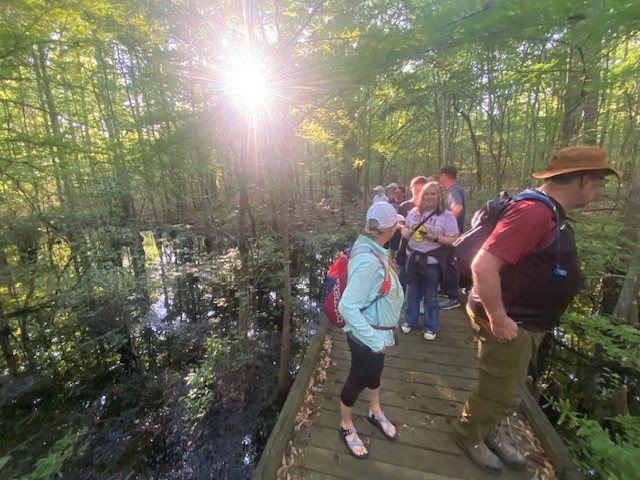 ncculture's tweet photo. What a weekend in Elizabeth City! 🌳Celebrating the Year of the Trail, it kicked off with the First Friday Art Walk. Then, it was time to explore the stunning landscapes of Dismal Swamp State Park and Merchants Millpond State Park. #yott #HometownStrong @‌visitecity https://t.co/4eXFbbMC0B