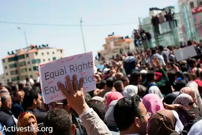 ChroniquedePalestine tweet media