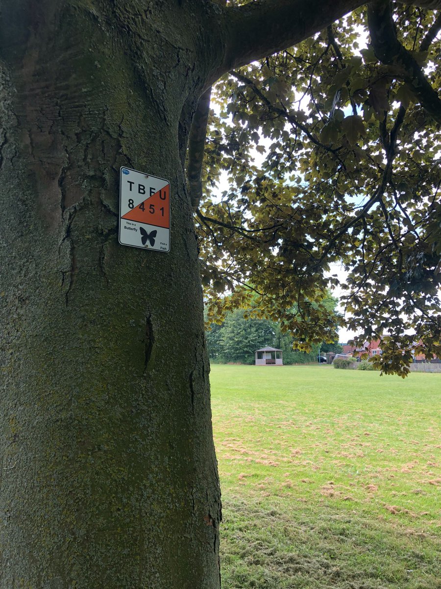 adamenriched's tweet photo. It’s been a lovely day @weaverhamschool  I installed their new orienteering courses &amp; ran a staff training session. It's great to see how excited everyone was to start using their new maps! 🗺️  #learnoutdoors #outdoorlearning #orienteering @enrichedu https://t.co/Kwv1ylHPmM
