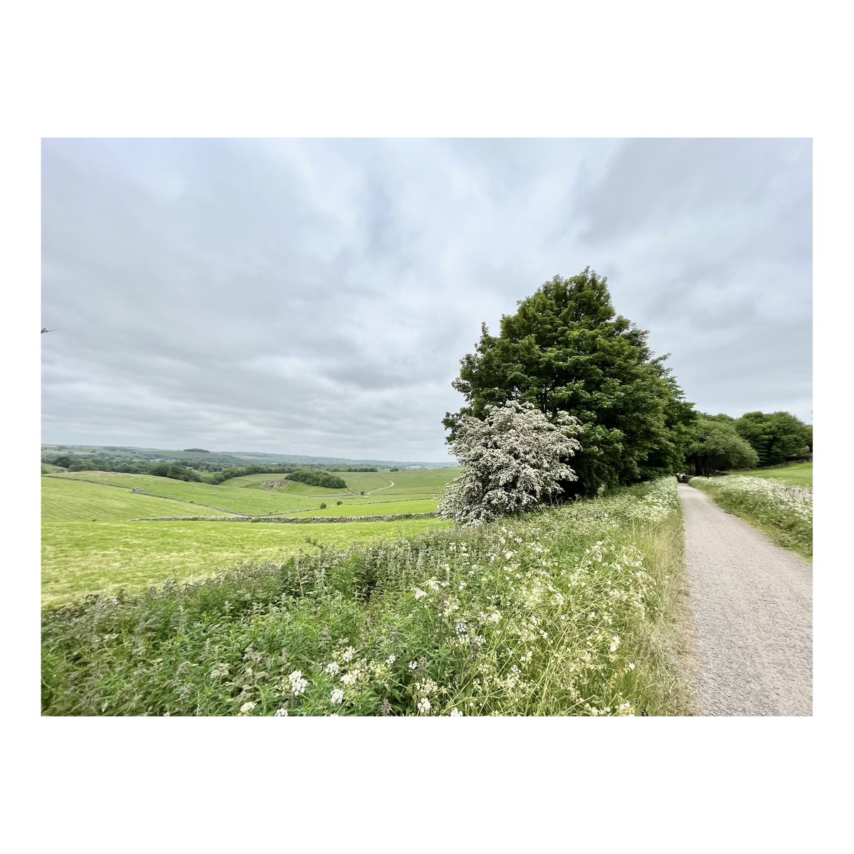 AMguidedrides's tweet image. All about the #gravel on this mornings ride with @Cheryl_B79 .😍
Some would say #ontrend. Where’s your favourite gravel ride?🤔✌🏻
#allmountainguidedrides #goodvibesandbikerides #experienceexploreadventure