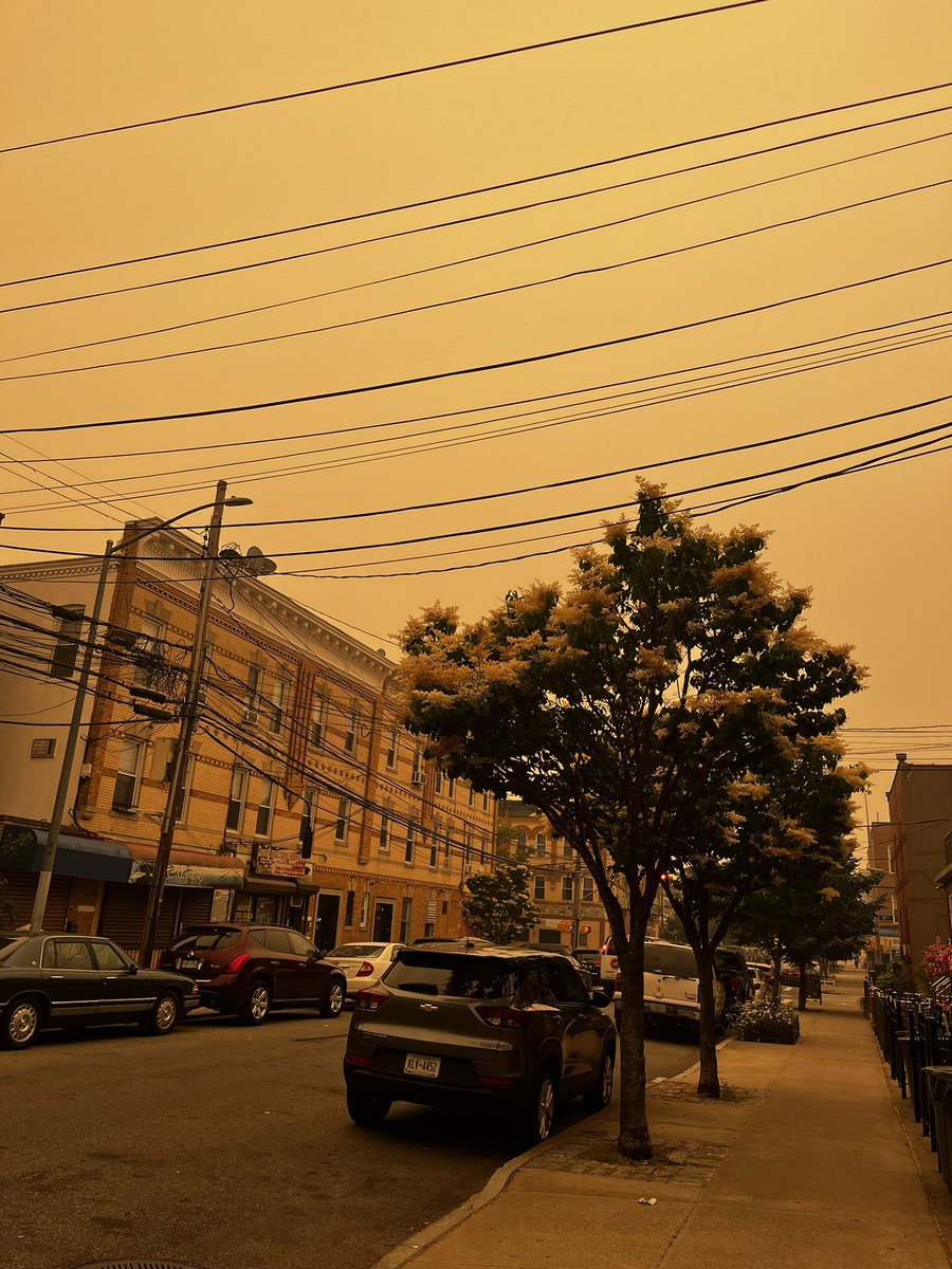 alice_got_lost's tweet photo. Shades of yellow in NYC https://t.co/LFXZNJLfIg