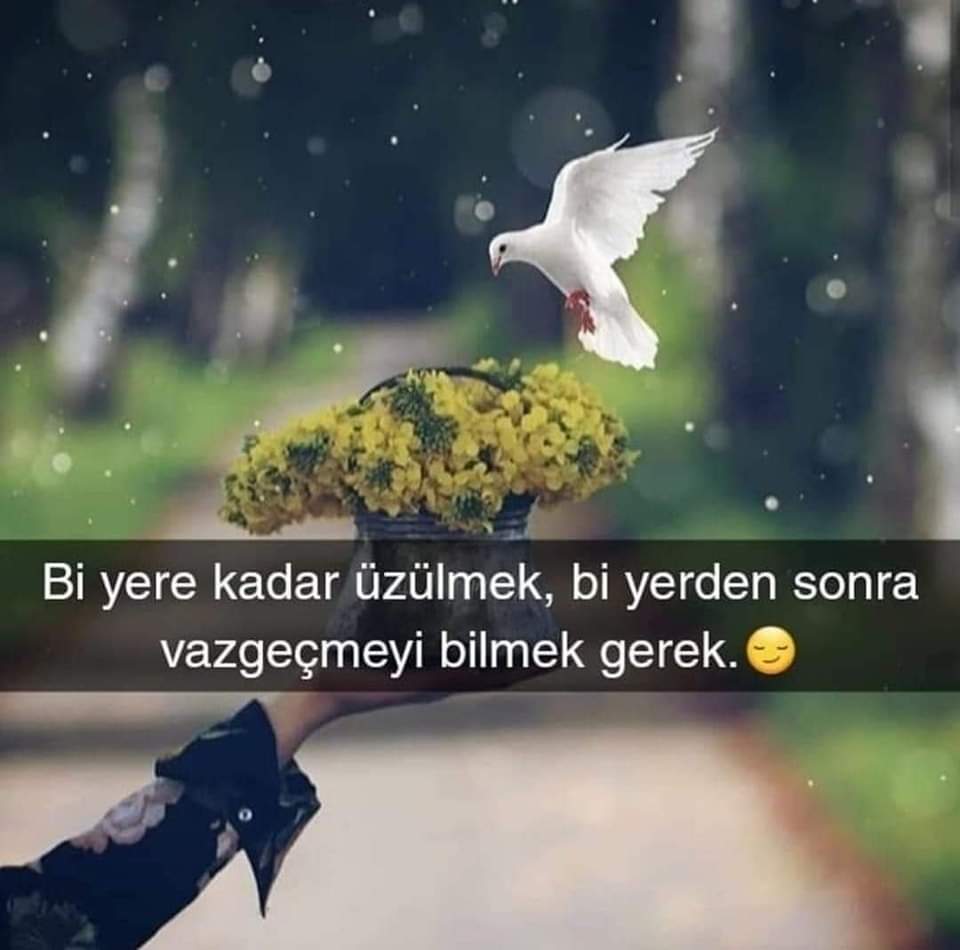 Leyla6906's tweet photo. https://t.co/rMWPARIImz