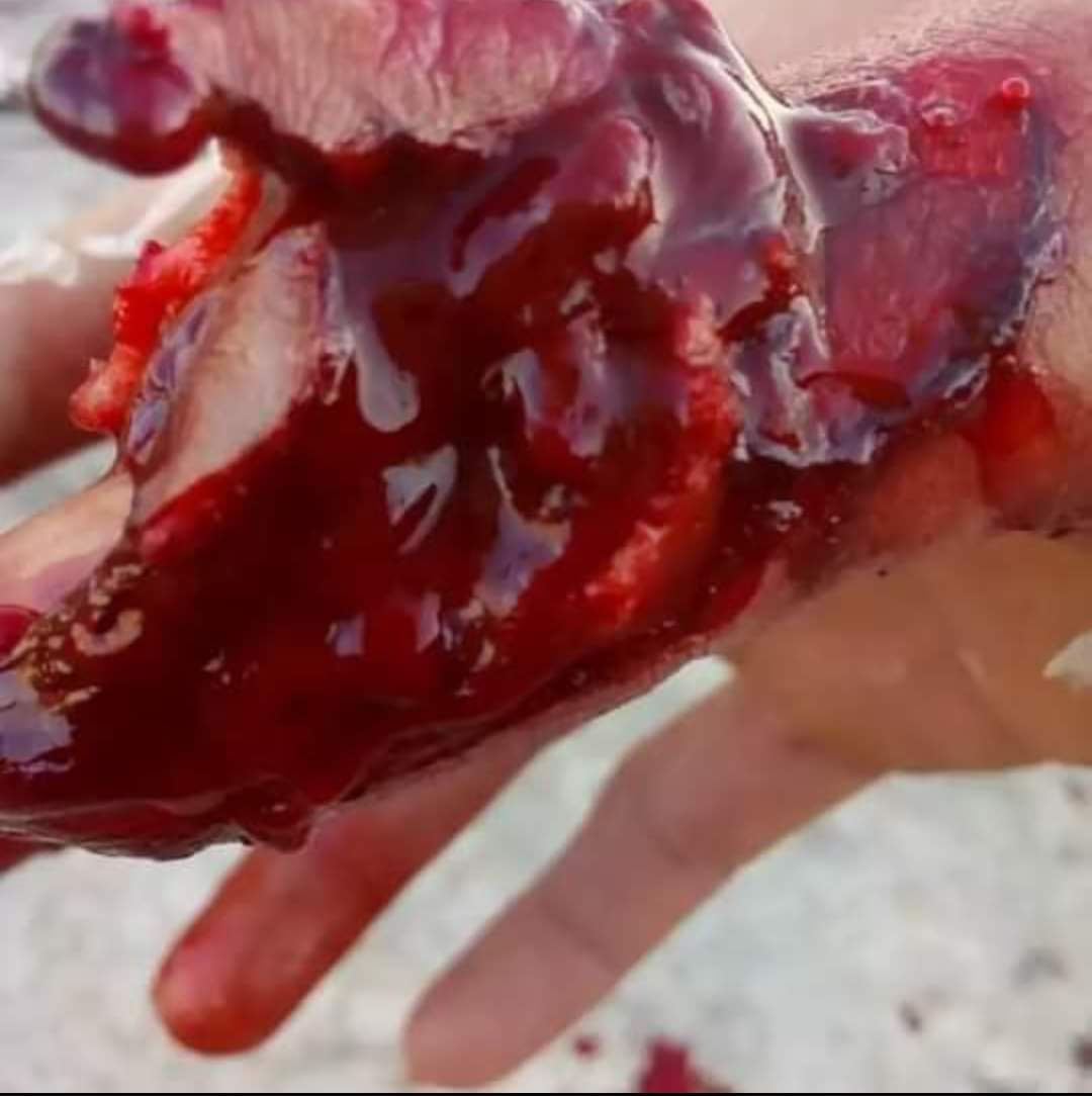 Elmaz Nezeri tweet media