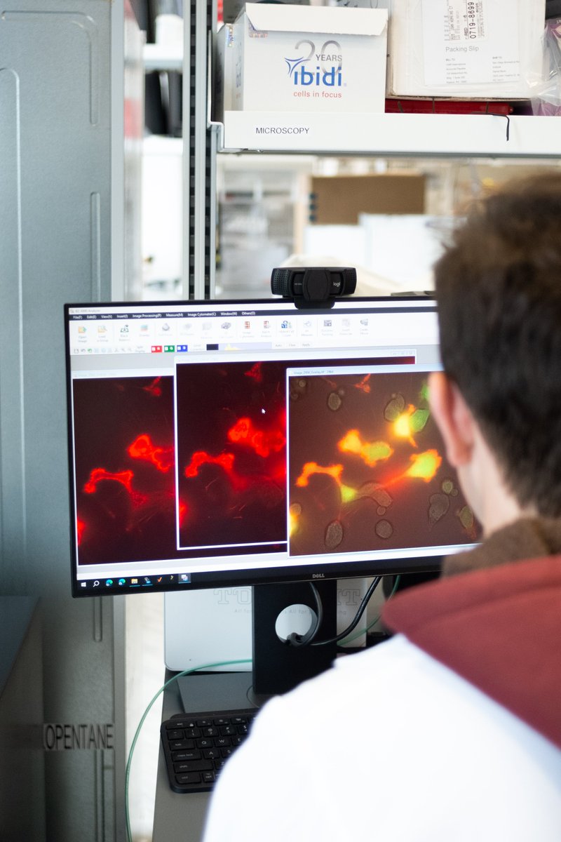 SanDiegoBiomed's tweet image. Patrick working in the @MurinLab analyzing Natural Killer cell activation!

#sandiegobiomed #research #nkcells #lab #biomedicine