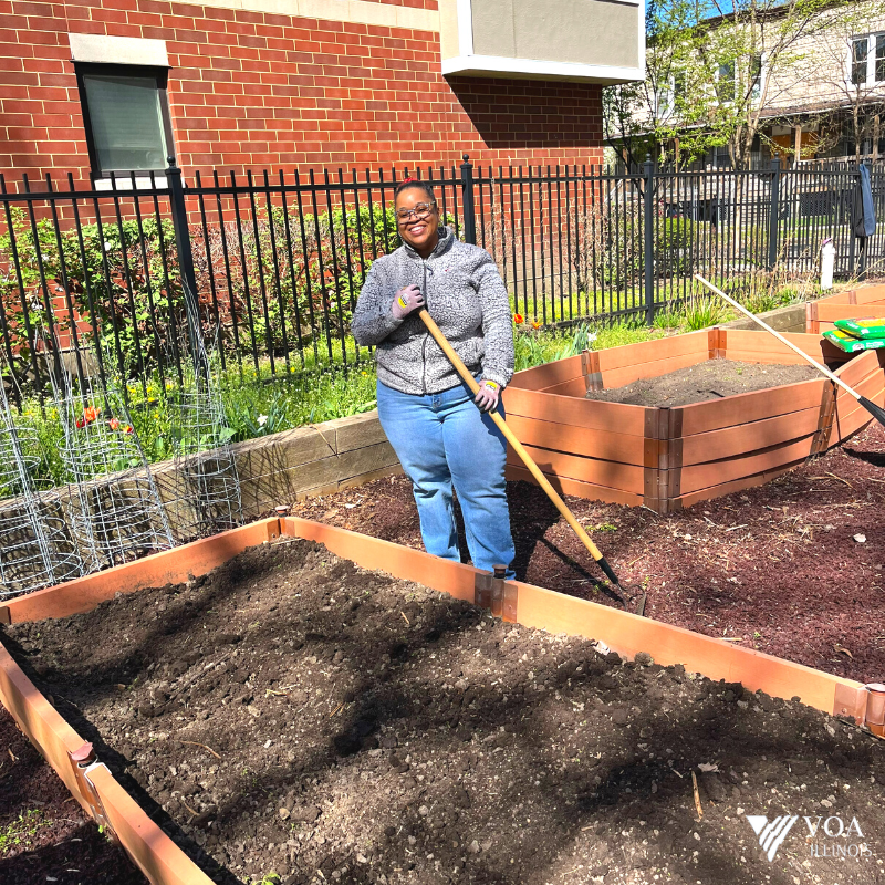 VOA Illinois tweet media