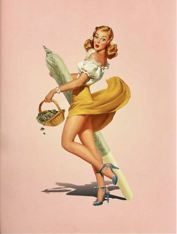 iFlyHigh™ 🎄 tweet media