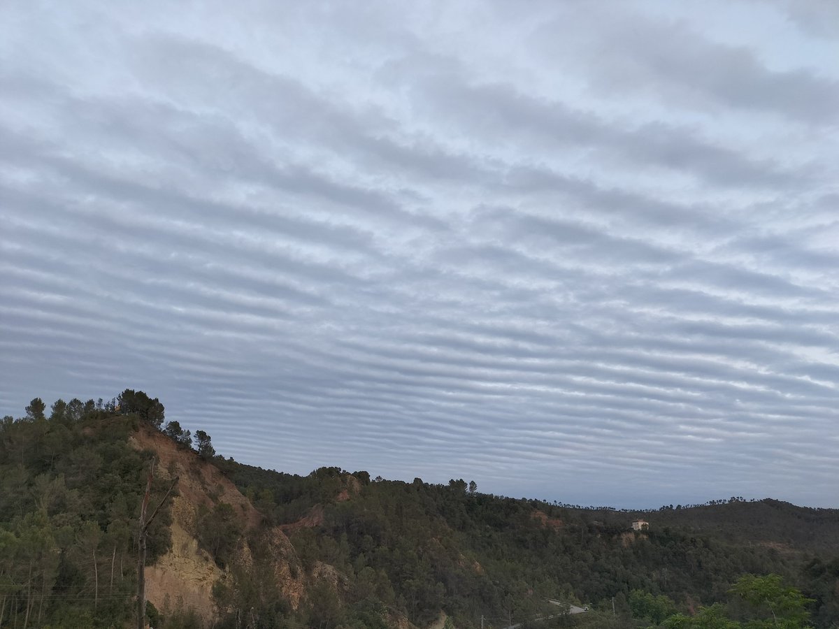 Pep🐺👣🐾 tweet media