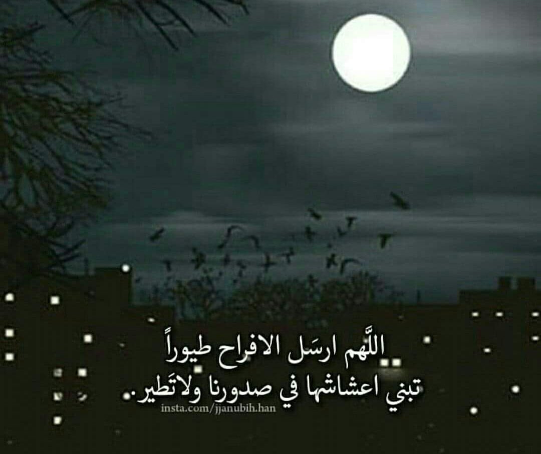 nooor2228's tweet image. أجمل الأرزاق ليس رزق المال . .
 ولكن سكينة الروح ، ونور العقل ، وصحة الجسد ، وصفاءالقلب ، ودعوة مُحب في الله . .
أنعم الله عليكم بتلگ الأرزاق 
.
 #مساء_الخير