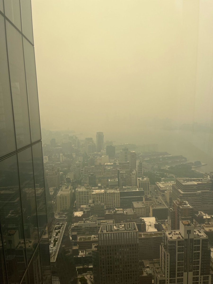 Peter Michael tweet media