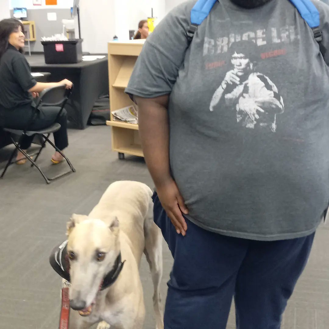 LoneBearGamer's tweet photo. Since June 7, 2023 at 6:29AM I have taken an Uber to Krannert Memorial Library very early in the morning for new orientation. Anyway, I have taken some photos with hound dog, Grady the Greyhound and UIndy sign during my visit on campus.

@uindy 
@uindyhound https://t.co/tKprQmc2Qi