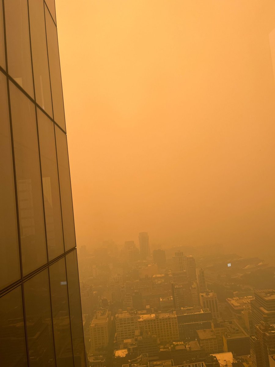 Peter Michael tweet media