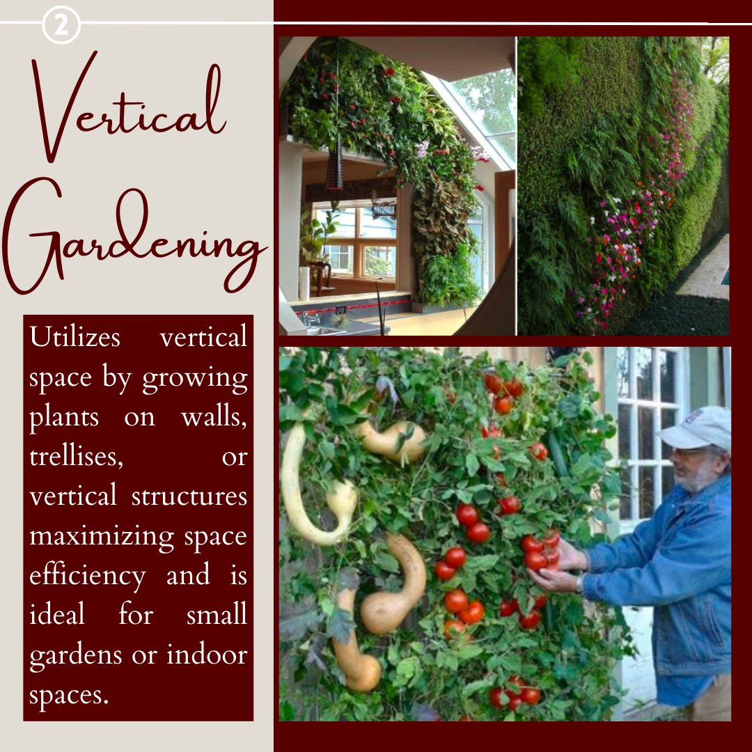 ProjOxigenado's tweet photo. There's a style for everyone to enjoy the #beautyofnature and grow their own #greenoasis. Get inspired to create lush #indoorgardens, transform balconies into #miniparadises, or even join #communitygarden projects to foster a sense of togetherness🪴🌿
#UrbanGardening #HomeGarden https://t.co/oBHCG60sSL