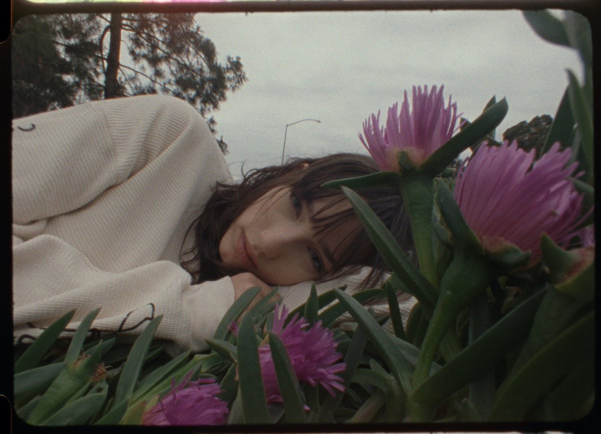 SHORE 🌊 tweet media