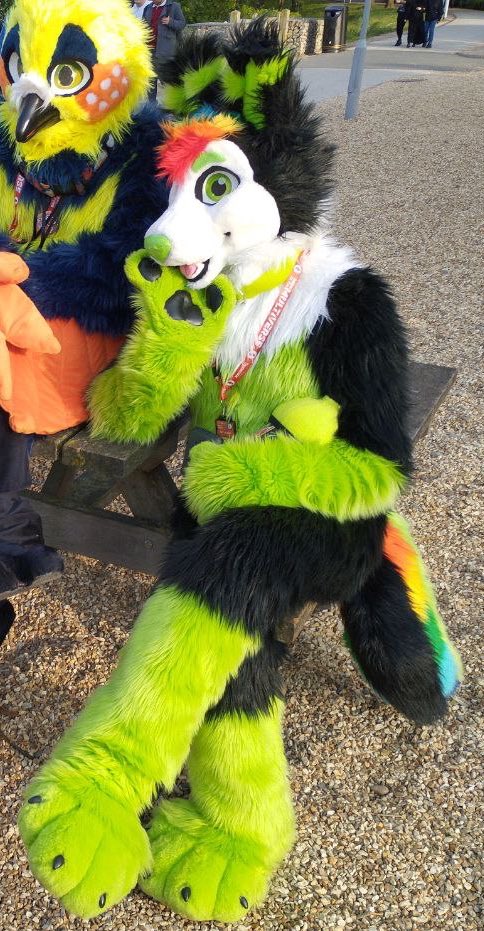 You’ve caught his eye 😘

I wonder what he’s thinking…

📸:<a href="/PantherPanthera/">Panthera Panther</a>