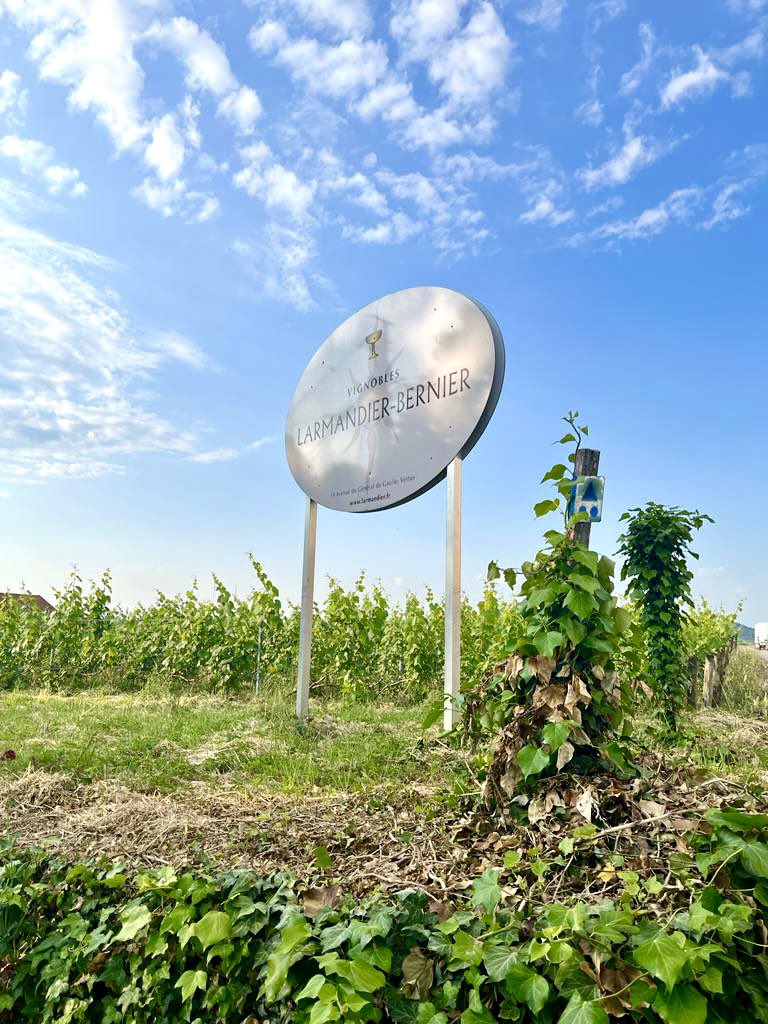 Day II at none other than the impeccable star Grower <a href="/LarmandierB/">Larmandier-Bernier</a> hosted by the brilliantly affable Arthur Larmandier, with Sophie &amp; Pierre warmly welcoming <a href="/H2Vin/">H2Vin Ltd</a> 🍾 🥂 🇫🇷 🙌

#champagne #organic #biodynamic #lowdosage #zerodosage #champagnelarmandierbernier #Vertus