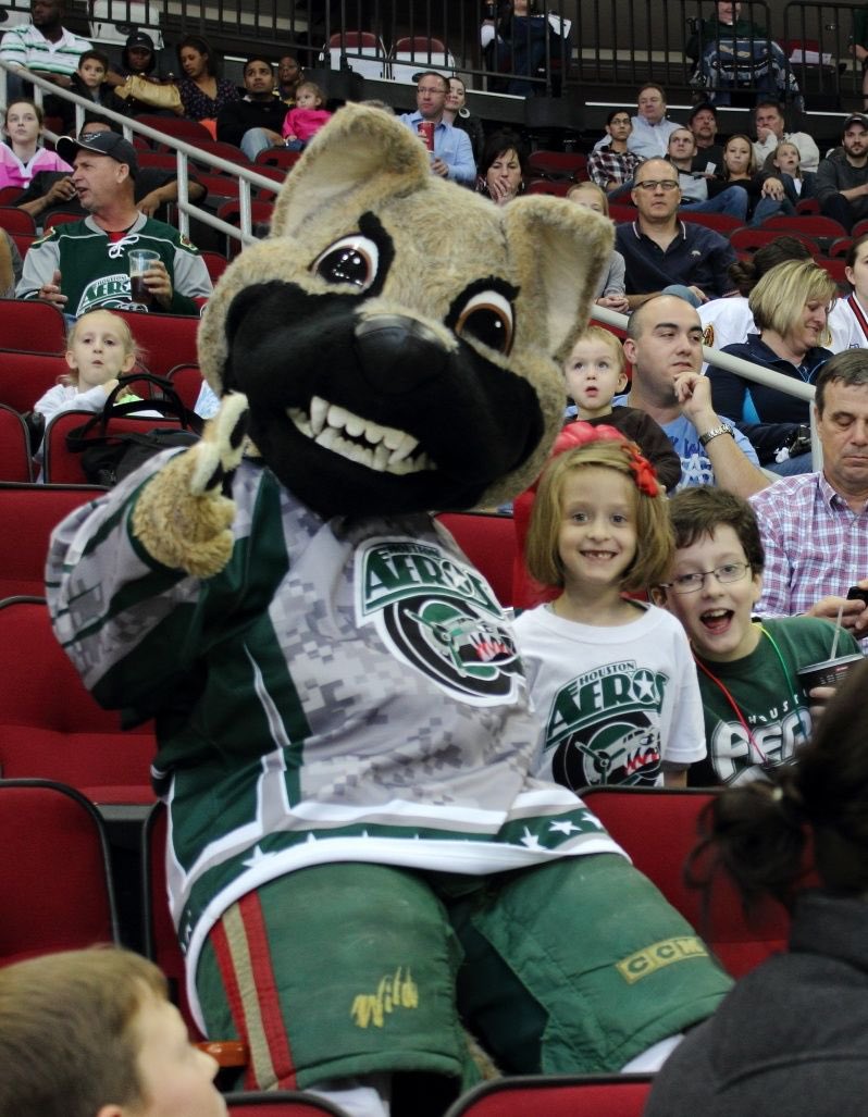 NHLtoHouston's tweet photo. Did someone say NHL expansion to Houston? #NHLtoHouston #HoustonAeros https://t.co/d5g8ZgWQTJ