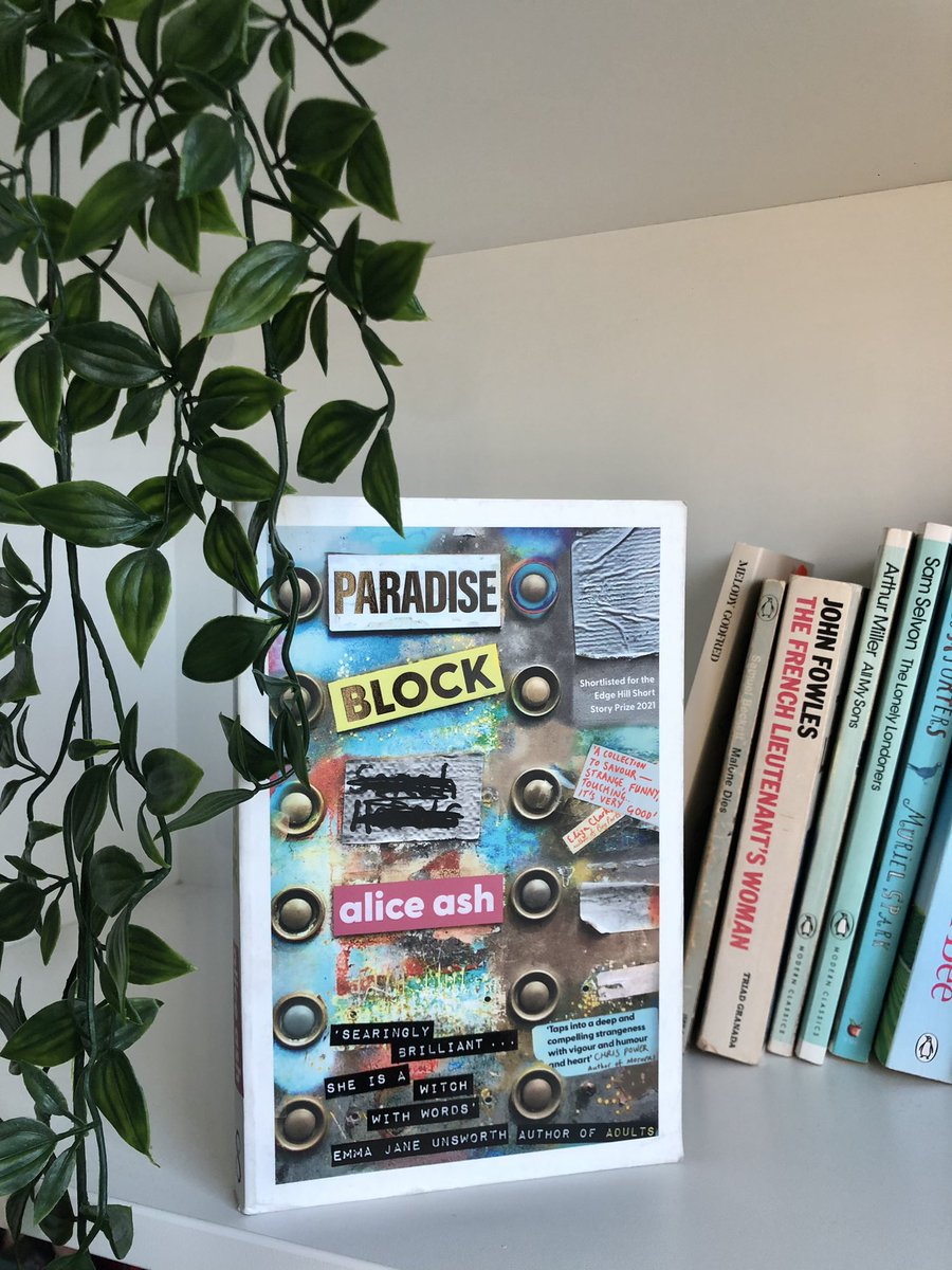 rosie54542781's tweet photo. Cannot wait to dive into this one next! @aliceash_ #BookTwitter #newgenre #shortstories #paradiseblock https://t.co/NBwNdDLYbS