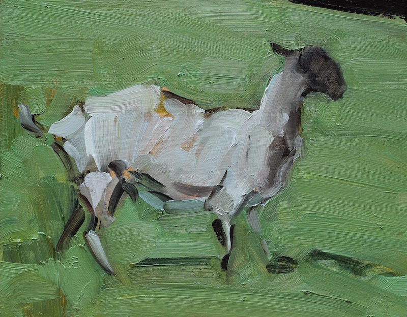 Sheep - 17x21.5cm, Oil on Board, 2016. 

#oilpainting #painting #art #scottishart #scottishpainting #sheeppainting #painter #artwork
