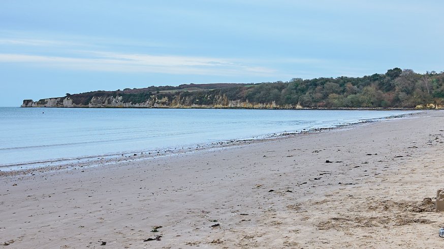 Studland Bay is home to around 50 hectares of seagrass, a crucial habitat as a both a home for wildlife and for its ability to absorb carbon dioxide. But we've lost about 91% of all our seagrass, let's protect what we have left and help #SaveOurWildIsles. @BBCSpringwatch |…