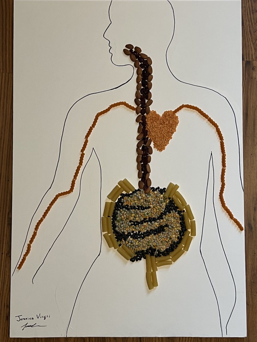 Fewer gut microbes is an age-related change fuelling cardiovascular decline as early as 45 . My thesis studies 🔎 how nitrate and prebiotic fibre contribute to better cardiovascular health 🫀 by promoting a ‘younger’ gut microbiome 🦠beyond 45. #tweetyourthesis @ExeterDoctoral