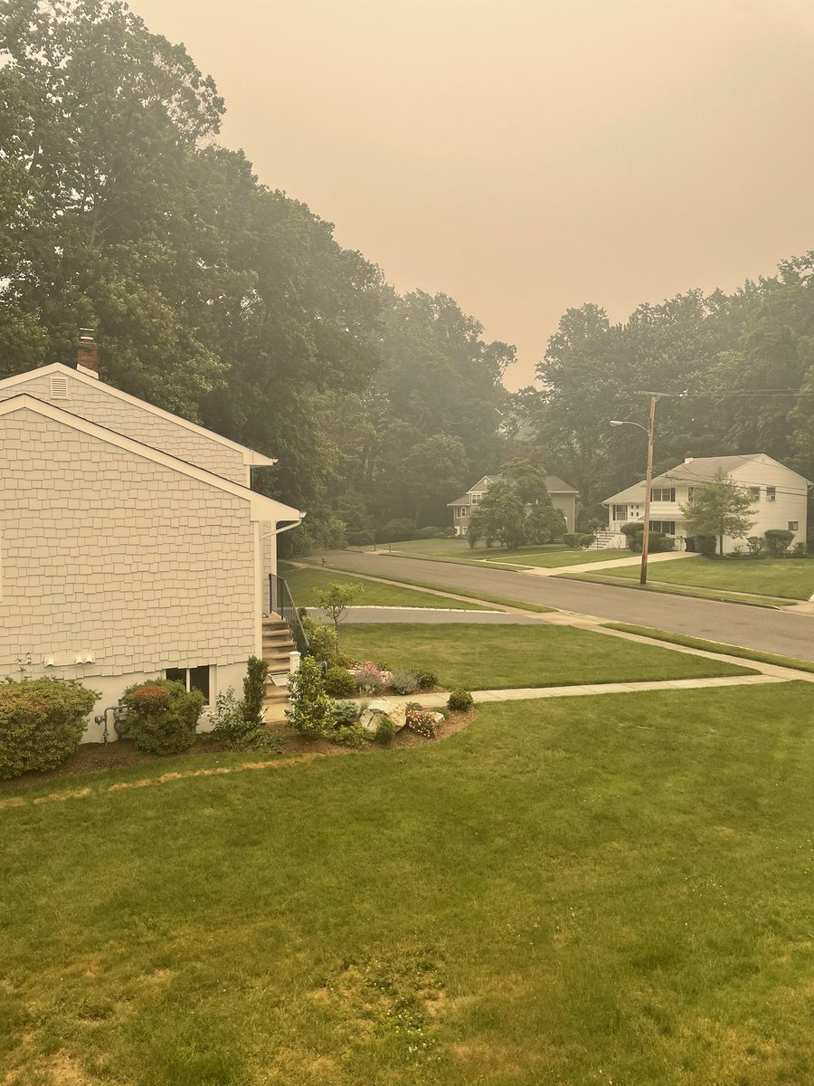 Becky Thal tweet media