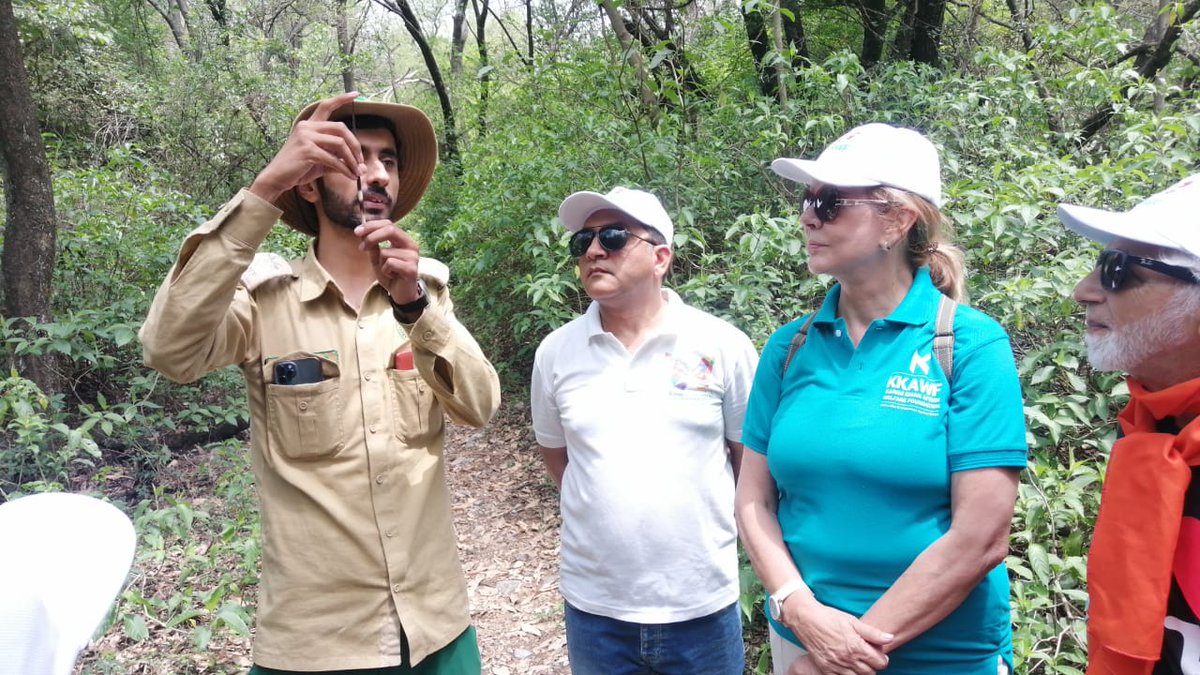 Islamabad Wildlife Management Board (IWMB) tweet media