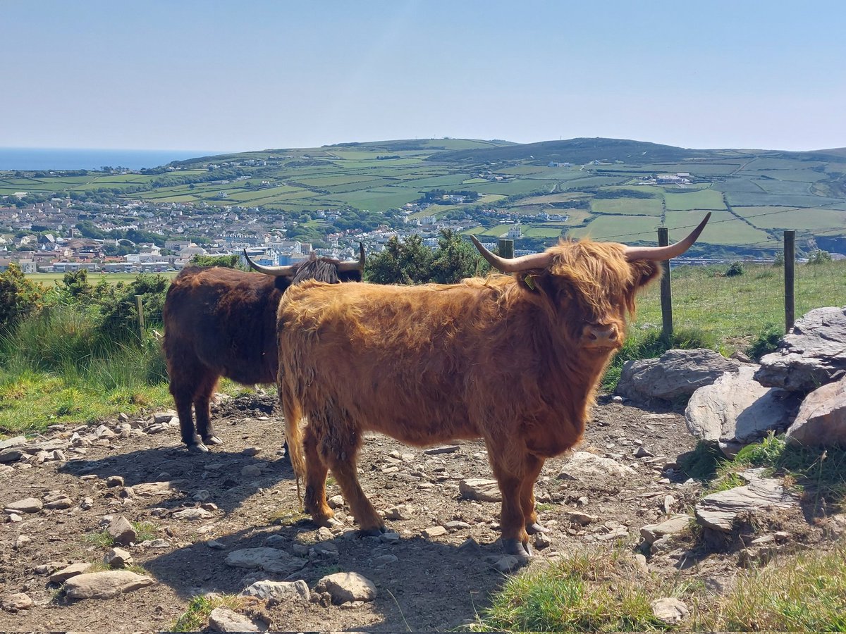 The IOM is a beautiful place when the sun shines 😍
Perfect for resetting the brain after a difficult 10 days, and contemplating the highs and lows of road racing