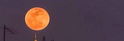 __Tevazu__'s tweet photo. Ne güzel söylemiş Hz Mevlana;

Anlaşılmak gibi bir derdimiz vardı. Ne zaman ki kendimizi anlatamadığımızı Fark ettik. İşte o vakit susmalar Dostumuz oldu..

                     ....

Öldürdüğümüz zamanın aslında sizi öldürdüğünü unutmayın.

Geceniz hayr olsun... https://t.co/iqjOKRtH8z
