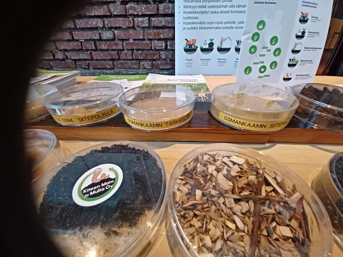 JohannaHelkimo's tweet image. Kokkailua kosteikkokasveista. Leikkimielinen kokkikilpailu, käytössä mm. osmankäämi, kotkansiipeä, metsäorvokkia, karpaloa, mesiangervoa. Ja wau: osmankäämi tekstiiliteollisuudessa höytyvätäytettä, turvepelloille mahdollisuuksia, ilmastohyötyjä #luke #FluffStuff @yministerio