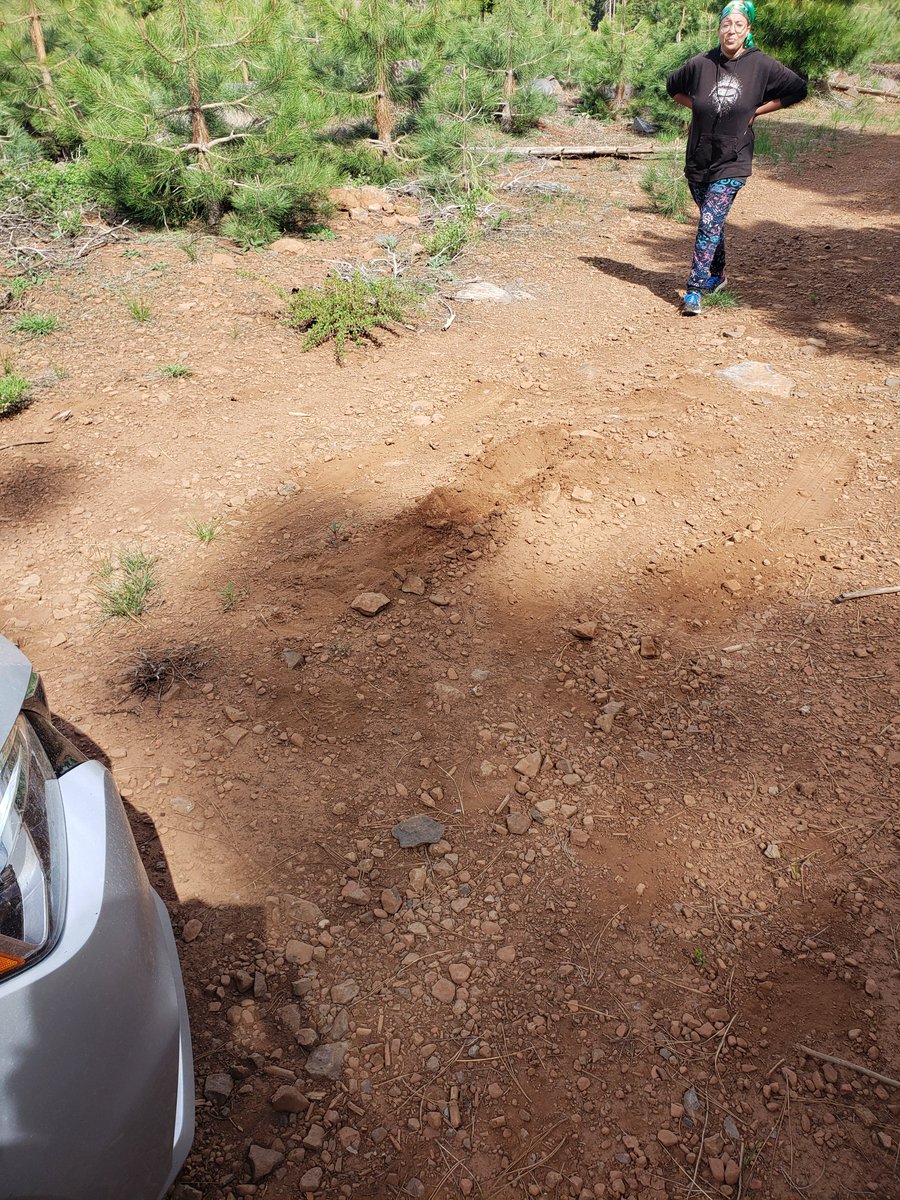 AnneWHilborn's tweet photo. Phase 1 of #TheBeeing also involved an almost #FieldworkFail when we took a temperamental Nissan Versa who objected to reversing on a dirt road and got the undercarriage stuck. Thankfully we could push it off the rock, and it didn't end in disaster. @am_anatiala https://t.co/60YiiQ1hKZ